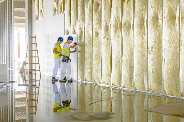 Best Insulation for Specific Applications in Grantville, GA